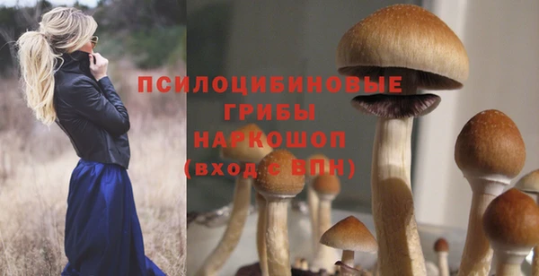 MDMA Гусиноозёрск