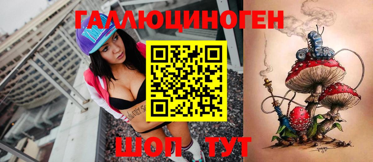 Мценск  Псилоцибиновые грибы прущие грибы  Псилоцибиновые грибы прущие грибы  Вход с VPN 